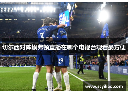切尔西对阵埃弗顿直播在哪个电视台观看最方便